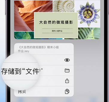 静乐apple维修中心分享iPhone文件应用中存储和找到下载文件