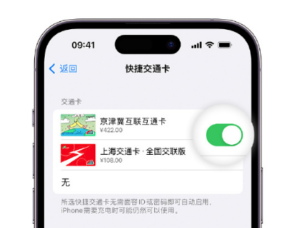 静乐apple维修点分享iPhone上更换Apple Pay快捷交通卡手绘卡面 