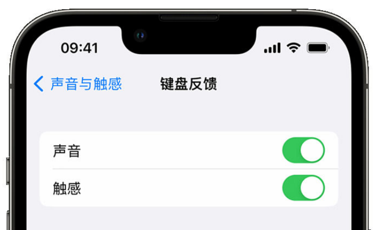 静乐苹果手机维修分享iPhone 14触感键盘使用方法 