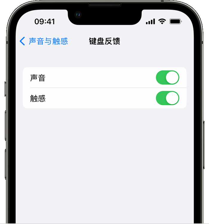 静乐苹果14维修店分享如何在 iPhone 14 机型中使用触感键盘 