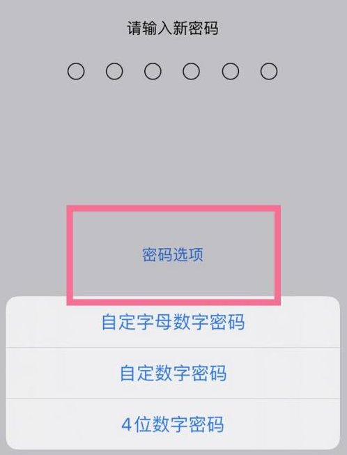 静乐苹果14维修分享iPhone 14plus设置密码的方法 