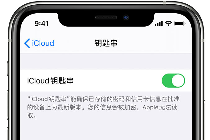 静乐苹果手机维修分享在 iPhone 上开启 iCloud 钥匙串之后会储存哪些信息 